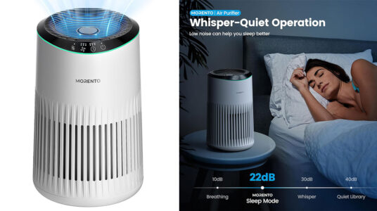 Chollo Purificador de aire Morento