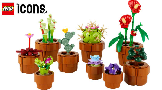 Chollo Set Plantas Diminutas de LEGO Icons