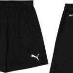 Chollo Shorts juveniles Puma teamRISE