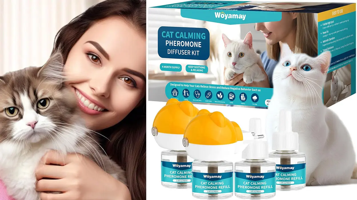 Difusor de Feromonas Woyamay para gatos