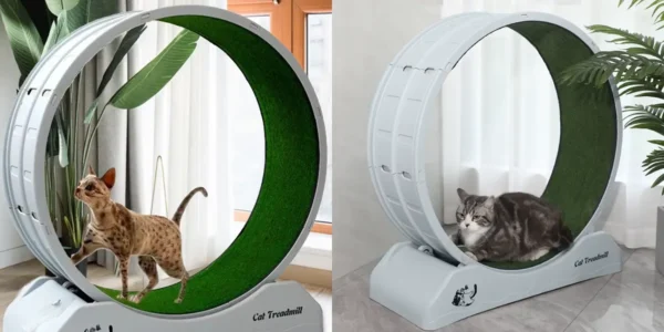 Cinta correr giratoria para gatos