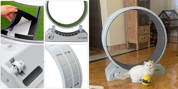 Cinta correr giratoria para gatos