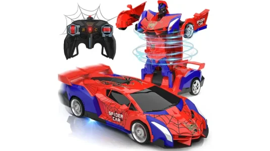 Coche teledirigido Mieryd