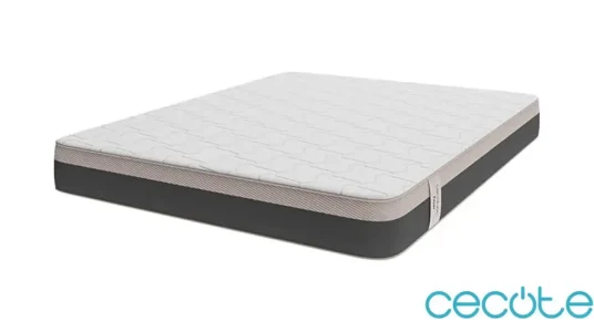 Cecotec ViscoSense Flow PureVital 4900