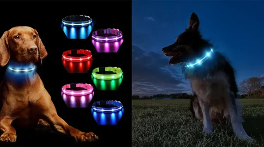 Collar con luz LED MASBRILL recargable para perro