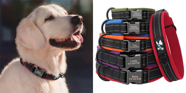 Collar para perro personalizable