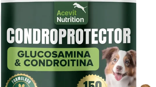 Condroprotector natural para perros: 150 unidades para mejorar articulaciones y cartílagos