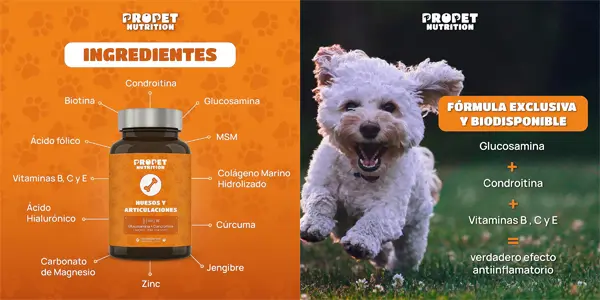 Condroprotector PROPET Nutrition para perros