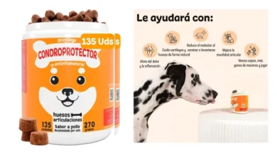condroprotector-vet