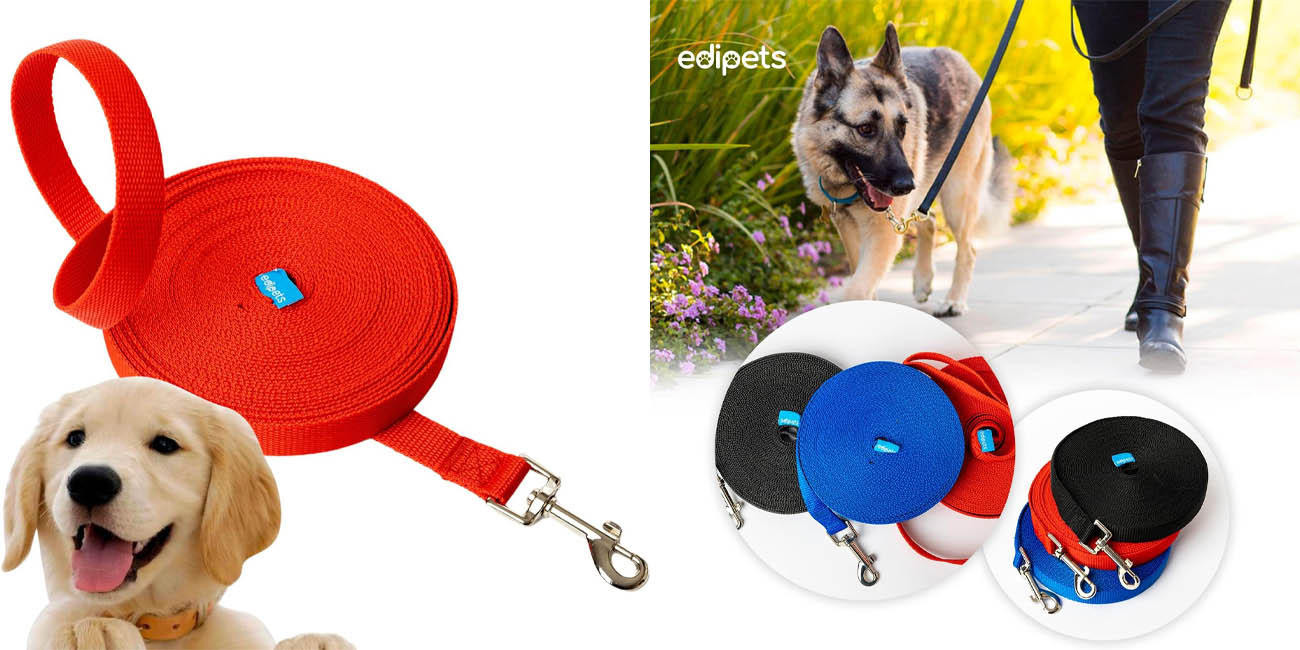Correa de nylon EdiPets para perros