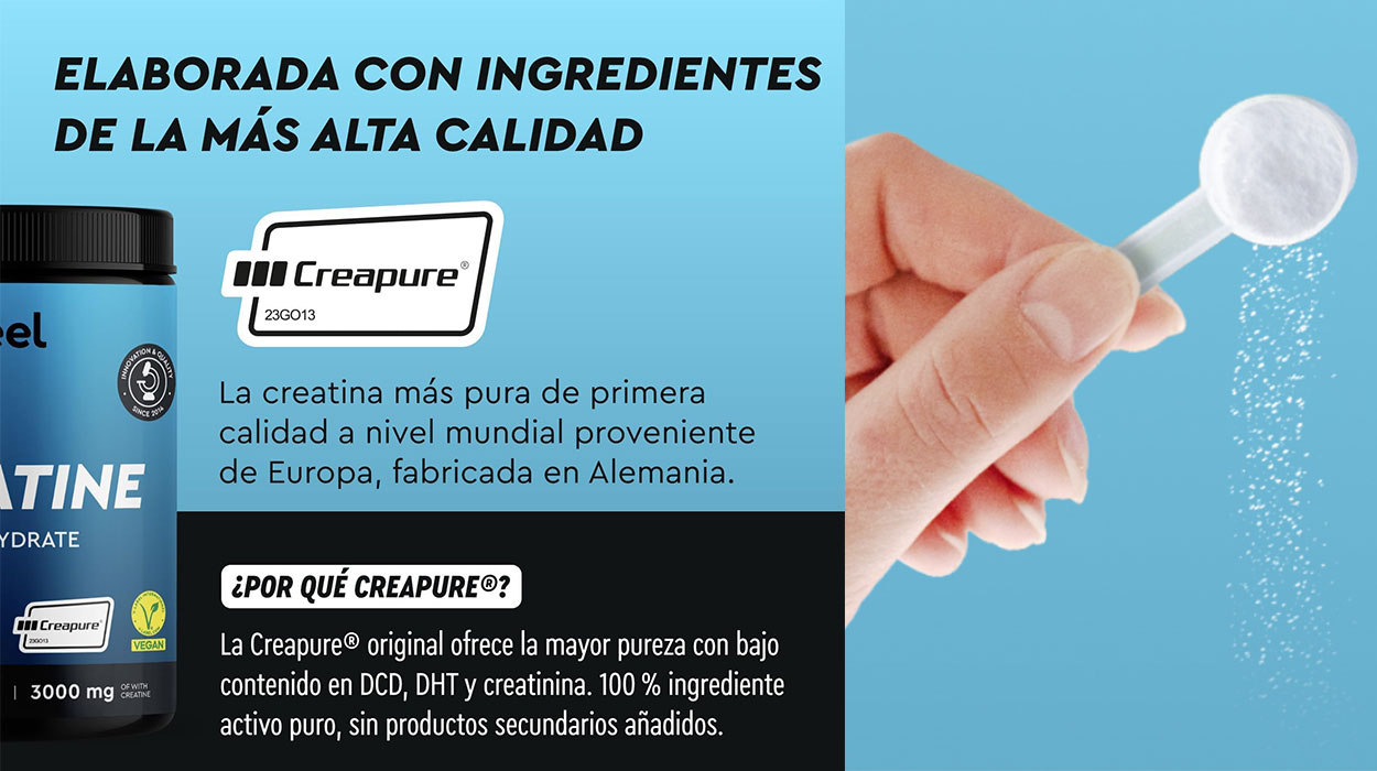 Creatina monohidratada Gloryfeel de 500 g barata