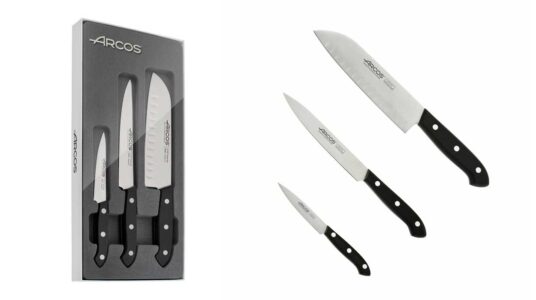 Cuchillos Arcos Serie Bolonia baratos