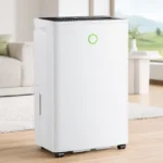 deshumidificador Aetherium 12L Día