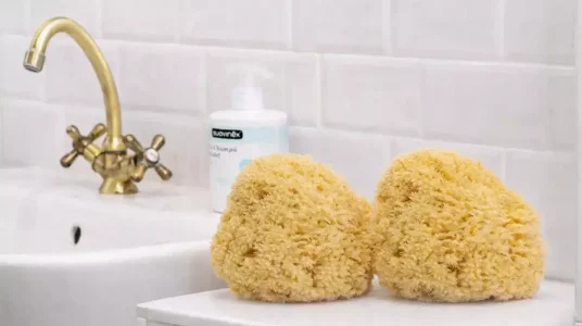 Esponja natural de mar Suavinex para bebé