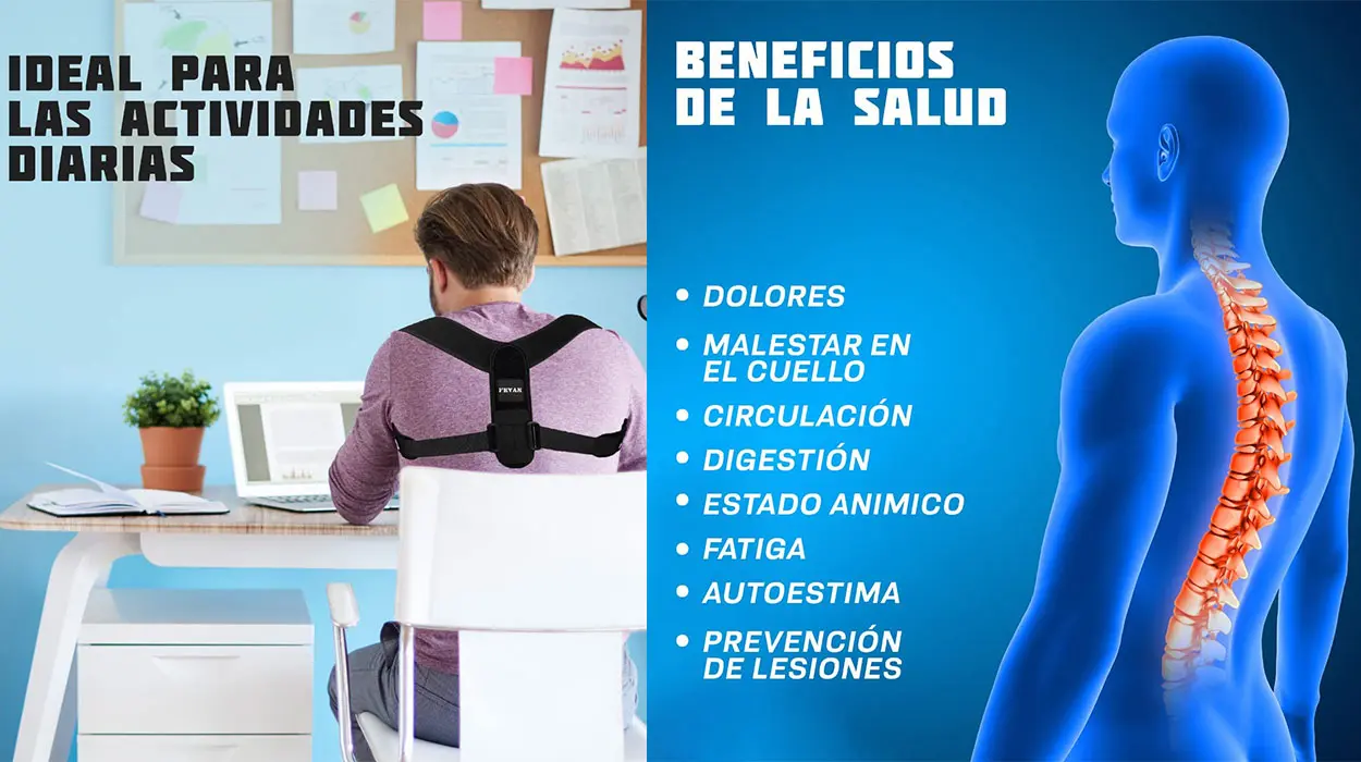 Corrector de posturas de espalda ajustable Fevan barato