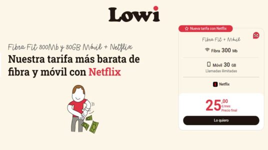 Fibra 300 30 gb Netflix Lowi