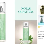 fragancia corporal Elizabeth Arden Green Tea Body Mist de 236 ml para mujer