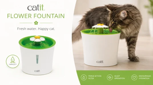 fuente-hidratacion-gato-flor-catit-sin-bpa
