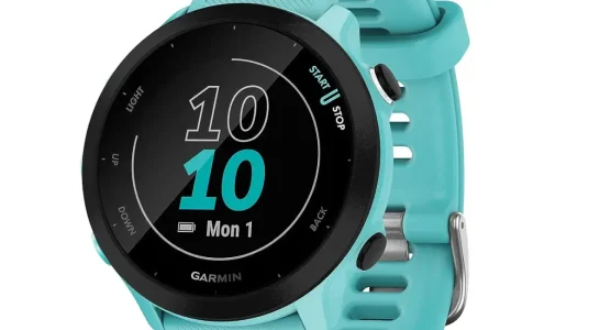 Garmin 55