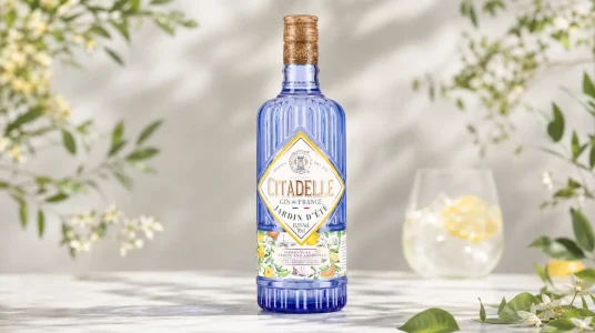 Citadelle Jardin D'ÉTÉ Gin 41,5% Vol. en botella de 0,7 l