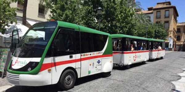 Traventia Granada en Navidad tren turístico