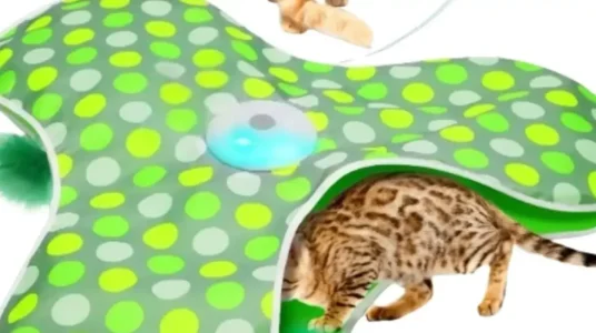 Chollo Juguete interactivo Kory para gatos con manta para escondite y plumas móviles