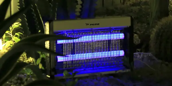 Lámpara anti mosquitos UV PALONE USB
