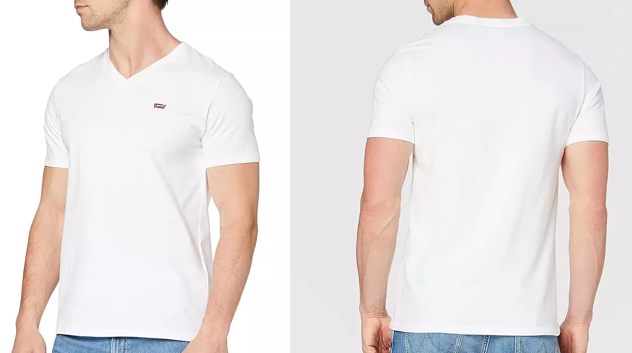 Levi's Original Housemark V-Neck