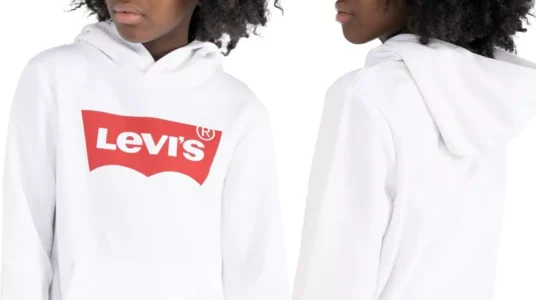 Sudadera Levi's infantil Screenprint Batwing barata