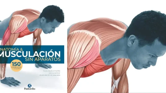 Libro Anatomía & musculación sin aparatos