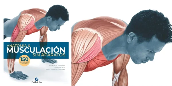 Libro Anatomía & musculación sin aparatos