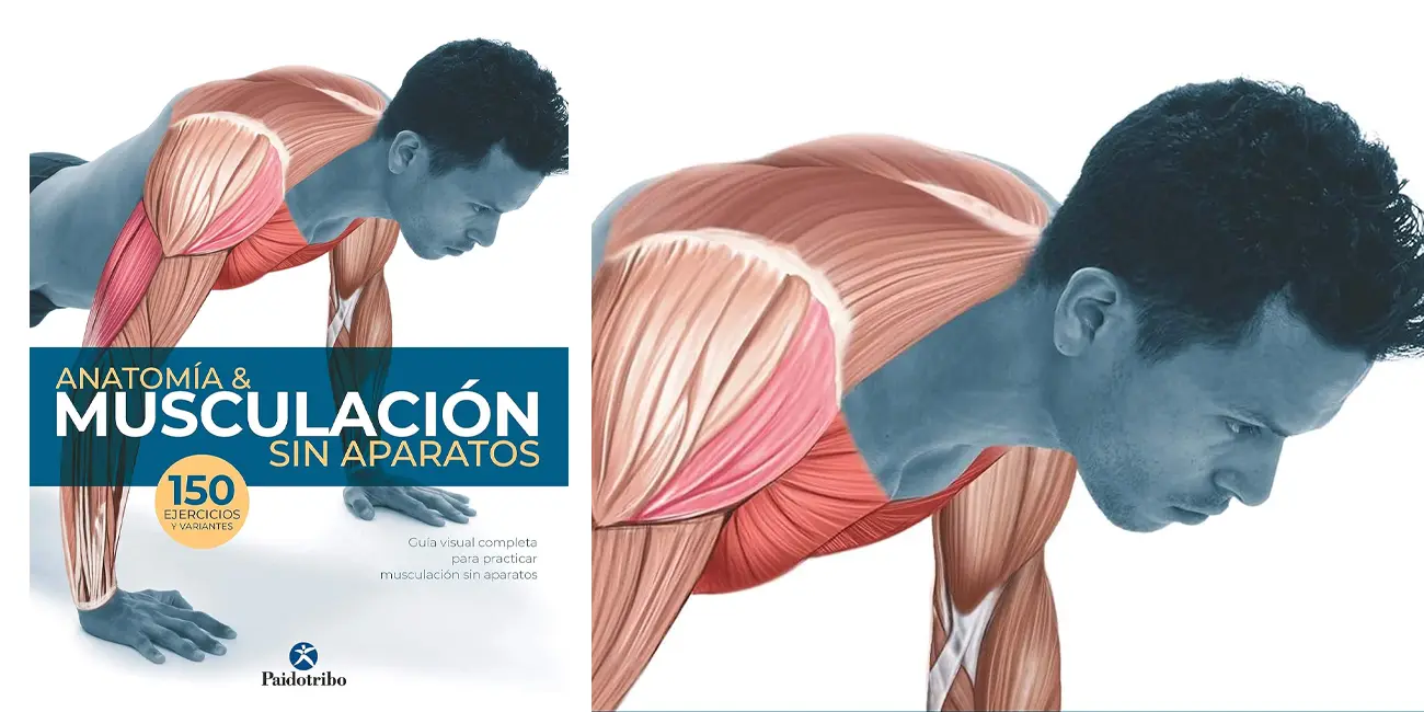 Libro Anatomía & musculación sin aparatos