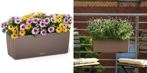 Maceta balconera Lechuza