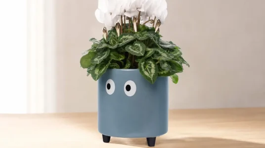 Macetero Fisura con ojos y patas, de cerámica, para plantas