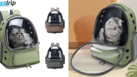 Mochila transportín para gatos PawsTrip
