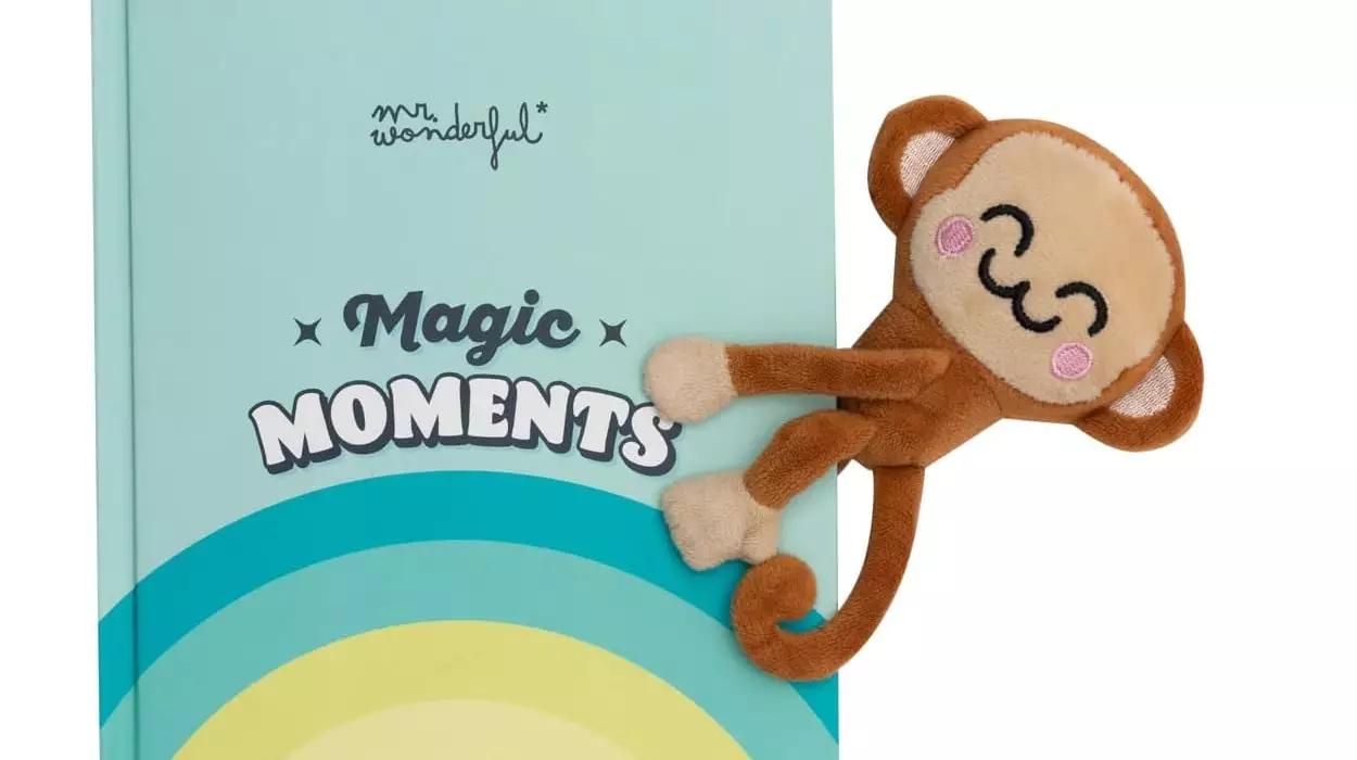 Mr. Wonderful Magic Moments con 192 páginas pautadas
