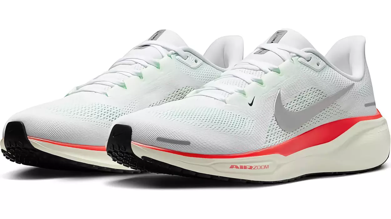 zapatillas Nike Pegasus 41 baratas