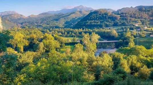 oferta Gran Hotel Las Caldas 4⭐ en Asturias