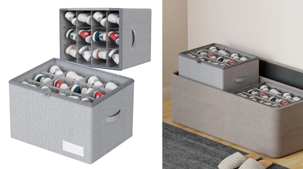 organizador-de-zapatos-plegable-con-tapa-wangirl