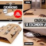 Pack 12x trampa para cucarachas Super Ninja