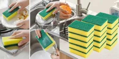 Pack de 15 estropajos de limpieza con esponja