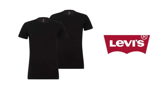 Pack 2 camisetas Levi's Crewneck baratas