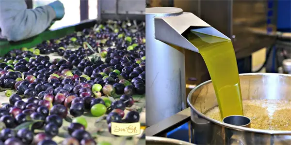 Pack de 2 garrafas de aceite de oliva virgen extra Don Olé de 5L