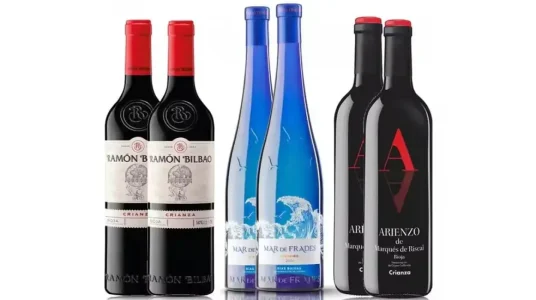 Pack 6 botellas vinos Premium Súper Ventas