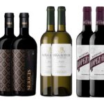 botellas Wine Lovers oferta