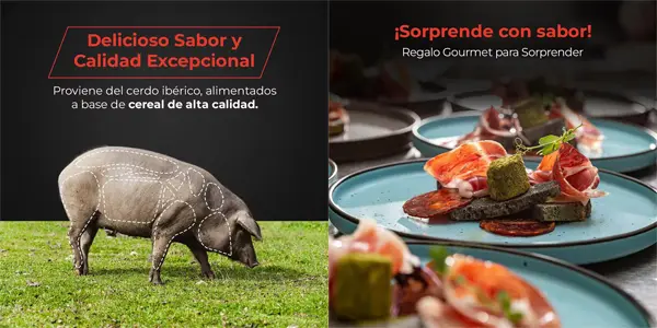 Paleta bellota 100% ibérica Jamones Galán en lonchas