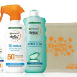 Pack Verano Garnier Delial barato