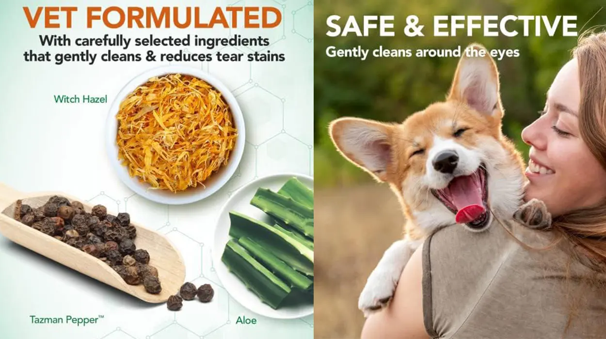 Pack Vet's Best de 100 almohadillas de limpieza de ojos para perros barato