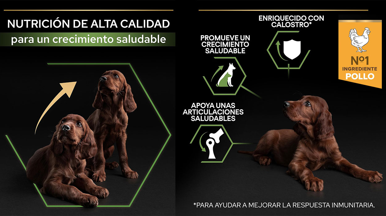 Pienso Purina Pro Plan Healthy Start con pollo de 12 kg para cachorros grandes barato