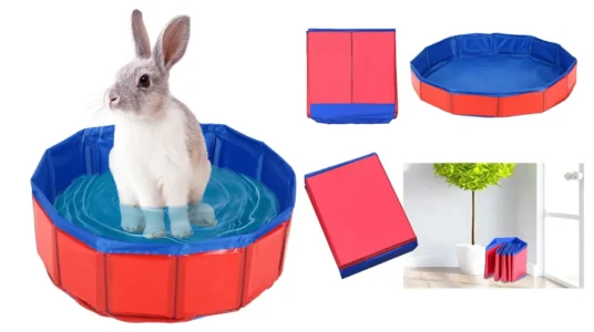 piscina plegable mascotas barata